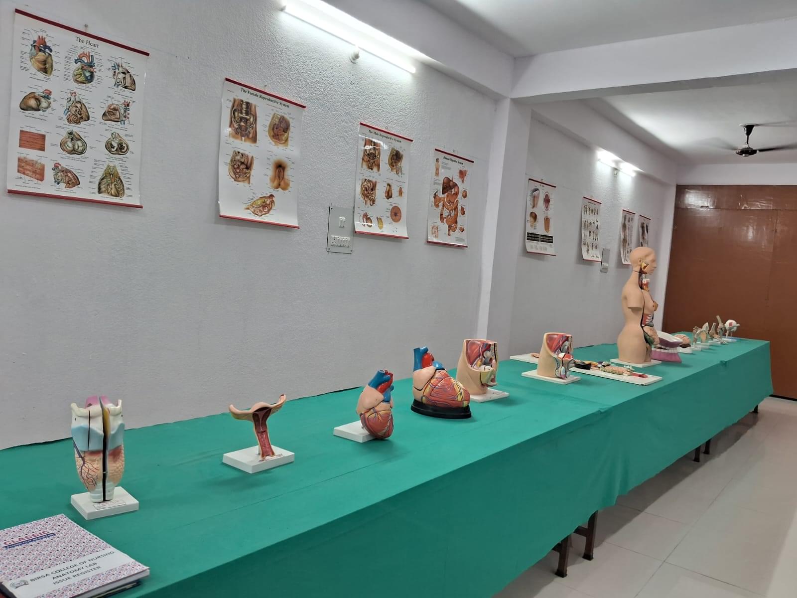 Birsa College of Nursing Bokaro CAMPUS photo 5